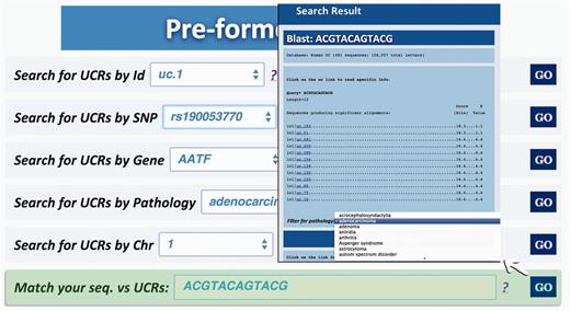 Result for BLAST search. This page shows the output of a sequence typed by the user (in this case ACGTACAGTACG), which matches with several ultraconserved elements. It is also possible to filter for those UCAs showed in the output, which are located in genes involved in specific pathologies.