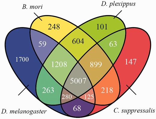 Venn diagram of the homologous protein-coding genes among four insects, C.suppressalis, D.plexippus, B.mori and D.melanogaster.