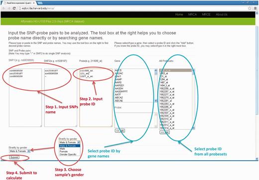 The input web page (MRCA example). There are four steps to submit a query. (1) input SNP1 and SNP2 names (2) input probe ID (3) select sample's gender (4) click the “Submit” button.