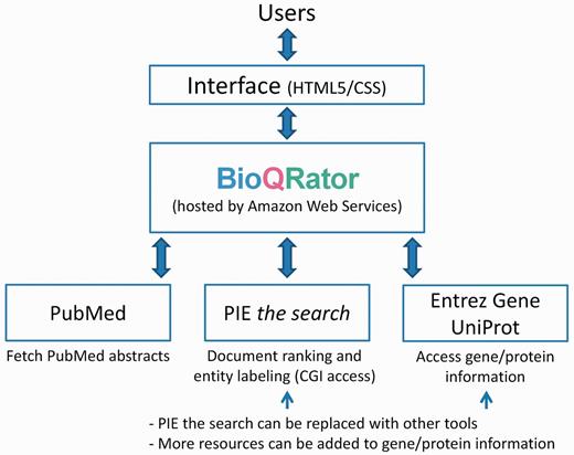  Overall framework of BioQRator in default setting. BioQRator supports an annotation interface to highlight entities and relations. The default setup uses PIE the search as a triage and an entity labeling module and Entrez Gene and UniProt are used for recommending and linking IDs. BioQRator was designed to use any BioC document; however, the current interface basically assumes all documents are PubMed abstracts. 