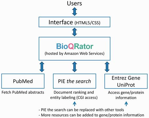 Overall framework of BioQRator in default setting. BioQRator supports an annotation interface to highlight entities and relations. The default setup uses PIE the search as a triage and an entity labeling module and Entrez Gene and UniProt are used for recommending and linking IDs. BioQRator was designed to use any BioC document; however, the current interface basically assumes all documents are PubMed abstracts.