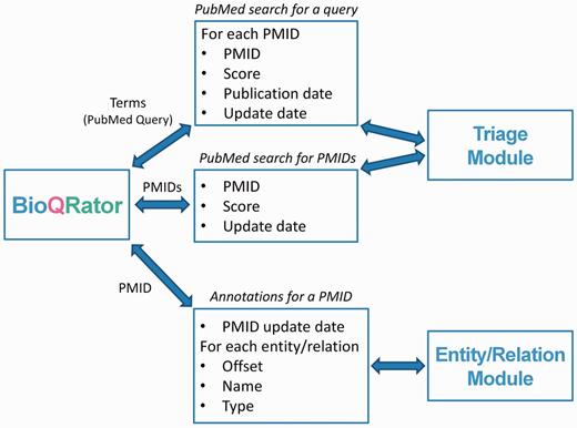 Message formats for communicating with BioQRator. To integrate BioQRator with text mining resources, two external modules, i.e. triage and entity/relation modules, are necessary. The triage module receives PubMed queries or PMIDs as a request and returns PMIDs and their corresponding scores. For entities and relations, BioQRator sends a PMID and the external module returns offsets, entity/relation names and types.