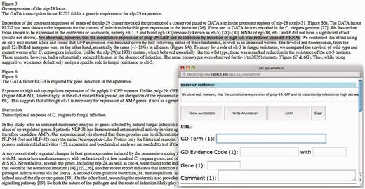 Screenshot of the GO annotation tool. When a line or more of text is highlighted, a pop-up window appears where annotation data are entered.