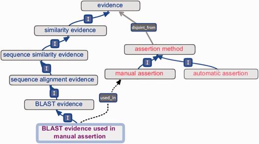  ‘Evidence’ and ‘assertion method’ root classes and an internal cross product term. The evidence hierarchy (blue text) is disjoint_from (grey arrow) the assertion method hierarchy (red text). The cross product term ‘BLAST evidence used in manual assertion’ (purple text) descends from the evidence hierarchy (‘I’ =  is_a ), and the term’s logical definition allows a reasoner to infer the used_in relationship (dotted arrow) to ‘manual assertion’. 