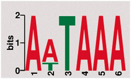 Motif discovery. The most frequent and significantly enriched motif discovered upstream of PA sites from pooled human tissue samples.