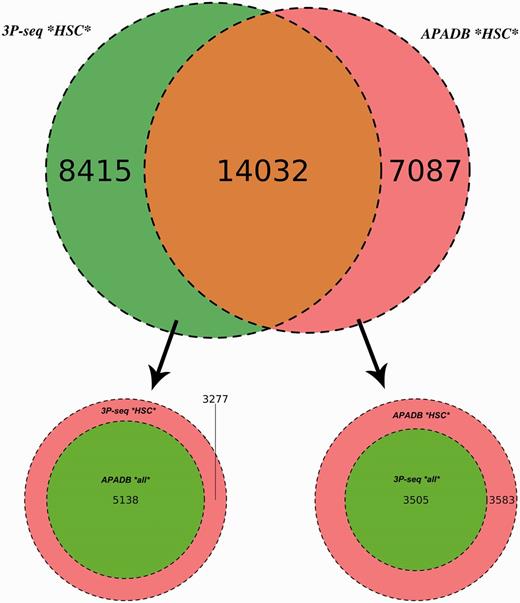 Comparison of APADB and 3P-seq. The Venn diagram on top shows the HCS (supported by more than four NGS reads) for mouse liver samples detected exclusively by 3P-Seq, by both methods and sites only listed in APADB. Of 8415 HCS exclusive to 3P-seq, 5138 are contained in APADB without a threshold on read depth (bottom left). The diagram on the bottom right indicates that of 7087 HCS exclusive to APADP, 3505 are contained in 3P-seq data without a minimum read cutoff.