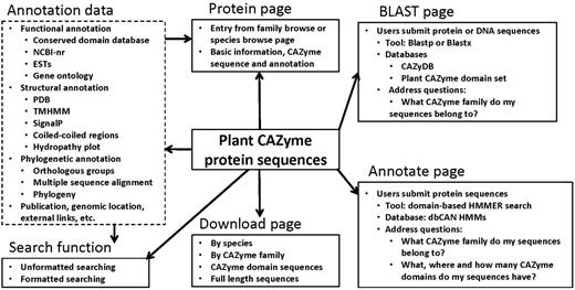 A schematic architecture of the PlantCAZyme database