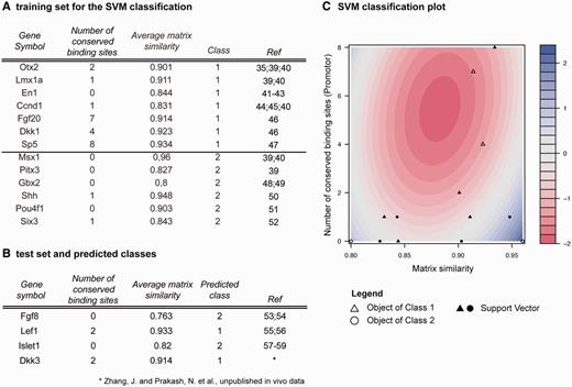 Training and test data for SVM classification. (A) Training data containing experimentally validated Wnt1 target genes. Genes were extracted from Mouse IDGenes, and number of conserved binding sites and average matrix similarity were computed with Genomatix MatInspector. Class 1 contains Wnt1 targets of the type ‘direct signaling’ (i.e. direct Lef1/Tcf target genes), whereas class 2 includes Wnt1 targets of the type ‘indirect signaling’. (B) Result of classification of selected genes from the test set. Direct Lef1/Tcf targets have more conserved binding sites and a higher average matrix similarity. (C) SVM classification (contour) plot showing training data. Filled objects indicate support vectors, blank objects remaining data points. Red color indicates decision values of class 1 (i.e. direct Lef1/Tcf binding), while blue color indicates decision values of class 2 (indirect Lef1/Tcf binding).