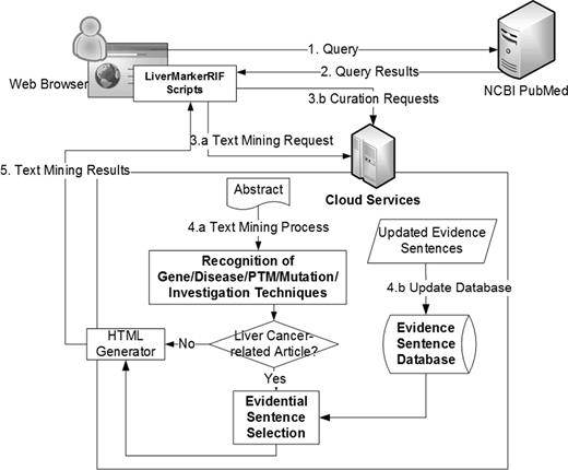 The system workflow of LiverCancerMarkerRIF. After installing LiverCancerMarkerRIF, it monitors the query sent to PubMed (step 1 and 2) and analyzes the returned results to extract the target text, such as the title and abstract. In step 3.a, the extracted text is sent to the cloud server to recognize biomedical entities. In step 4.a, in addition to recognizing entities, the curated evidential sentences for the article are further extracted from our database and combined with the entity recognition results if the text contained liver cancer-related terms. The results are finally sent back to the LiverCancerMarkerRIF in the client side to augment the original content. If some evidential sentences are curated by the curator, LiverCancerMarkerRIF will issue a curation request (step 3.b) and update our server-side database (step 4.b).