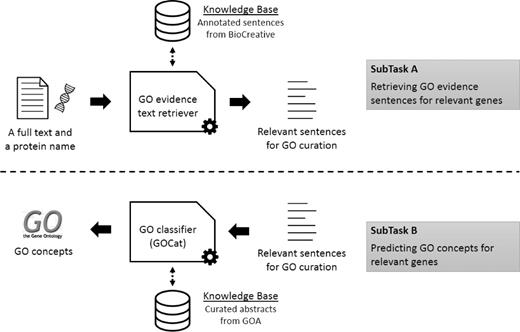  Overall workflow of the BiTeM/SIBtex system for BioCreative IV GO task. First (subtask A ), given a full text and a protein name, the system extracts relevant sentences for GO curation. Then (subtask B ), given these relevant sentences, the system predicts relevant GO concepts for curation. For both subtasks, the system uses machine learning, thanks to KB designed from the BioCreative training data and GOA. 