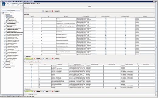 PathCase-MAW editor main frame.
