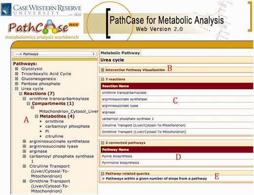 PathCase-MAW Browser and Detail pages for the pathway urea cycle
