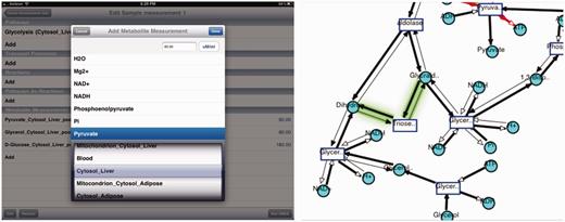 iPad visualization interface. Top: Visualization of cholesterol synthesis pathway on iPad is shown along with the legend. Bottom: running SMDA on iPad for glycolysis pathway.
