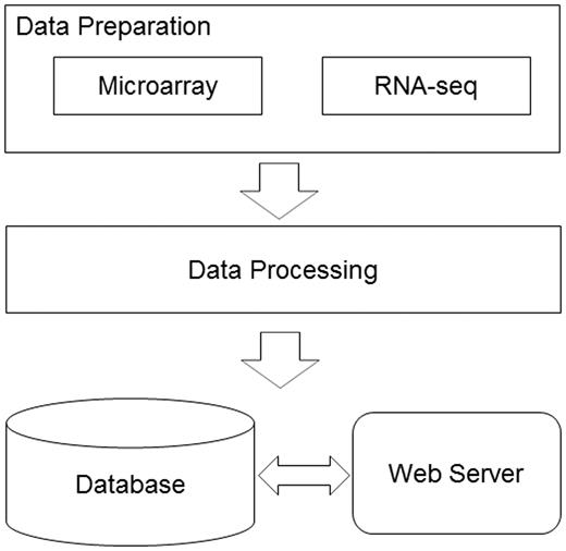 The database construction pipeline. The diagram demonstrates the work flow in the RGED development. In the data preparation step, data sets generated by two technologies, DNA microarray and RNA-seq, were considered; in the data processing step, two bioinformatics pipelines were used to normalize and annotate the gene expression data; all the data were deployed in the MySQL database, while the web server provided the user interface.