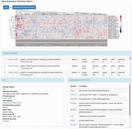 Heat map of genes expression relationship. The heat map shows the clustering results of the gene expression pattern comparison.
