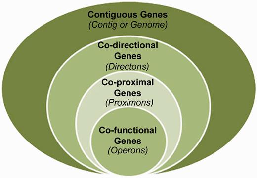The proximon proposition. The proximon class (co-proximal genes) is shown from a set theoretic perspective as a subset of the directons (co-directional genes) and a superset of the operons (co-functional genes).