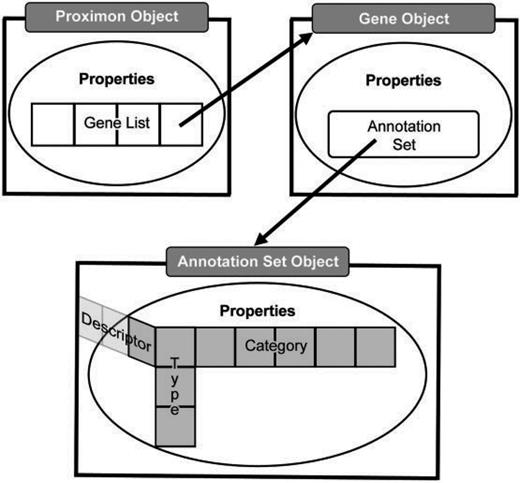 Abstract data model. The top level proximon object is shown with a list of gene objects encapsulated among its properties such that a gene object encapsulates an annotation set object that subsequently encapsulates a 3D list of annotation features, including, type, category and descriptor.