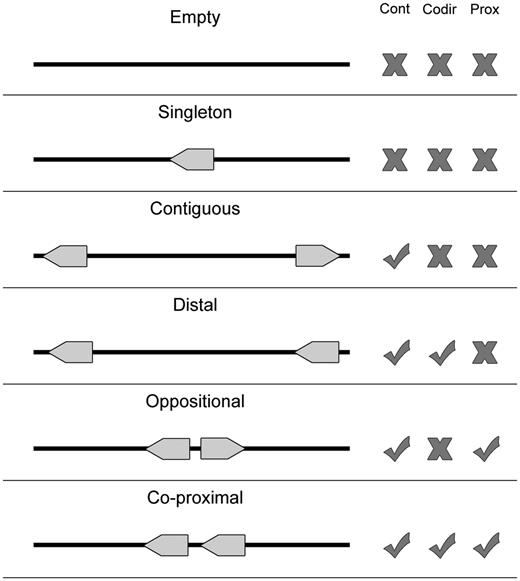 Proximon selection criteria. Various configurations are shown for a metagenomic scaffold that contains zero (Empty), one (Singleton) or two (all other cases) genes. Each configuration is considered with respect to whether it exhibits multiple contiguous genes (Cont), genes that are co-directional (Codir) and genes that are co-proximal (Prox). Only the last configuration meets all the criteria required by the proximon definition.