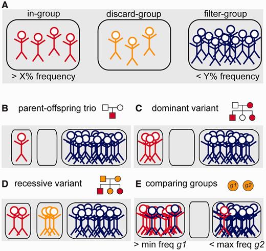 Schematic representation of the variant filtering function. (A) All individuals in the database are divided into three distinct groups; the ‘in-group’ (to the left, in red), ‘discard-group’ (in the middle, orange) and ‘filter-group’ (to the right, blue). The function then returns all SNPs or indels in the system that are detected in at least X% of the ‘in-group’ and at the same time at most Y% of the ‘filter-group’. Individuals in the ‘discard-group’ are excluded from the analysis. With this filtering function, it is possible to perform many different types of filtering, as shown in the examples below. (B) Filtering to detect a de novo mutation in a child of a sequenced mother–father–child trio. (C) Detection of a dominant variant in a family. (D) Detection of a recessive variant in a family. In this case, family members that may be healthy carriers are put in the ‘discard-group’. (E) Detection of variants that occur with frequency of at least X% in one group of samples (‘in-group’, g1) and at least Y% in all other samples (‘filter-group’, g2).