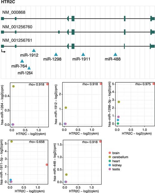 HTR2C gene locus. Genomic mapping of HTR2C transcripts (NM_000868, NM_001256760 and NM_001256761) and their six intragenic miRNAs (miR-1912, miR-764, miR-1264, miR-1298, miR-1911 and miR-488) as well as the expression correlation between HTR2C and these miRNAs. The diagram represents the gene structure according to UCSC genome browser. Because the expression of miR-764 could not be detected, expression correlation for this miRNA and its host gene is not shown.