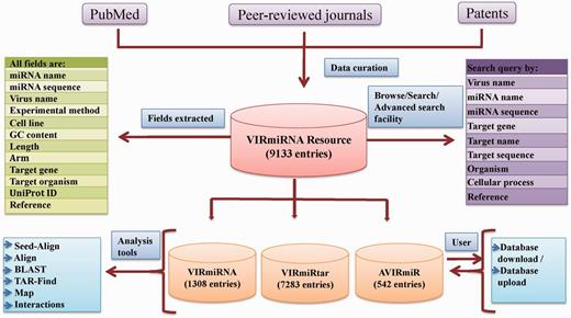 VIRmiRNA architecture.