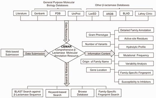 A schematic representation of the CBMAR database.