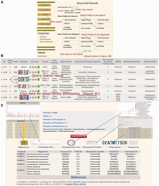 Snapshots of ‘CARB’ keyword search (A), result page (B) and family details (C). The search interface allows for the query search over one or multiple fields. Similarly, the display of result can also be limited to one or multiple fields. The result displays the search results along with appropriate hyperlinks for detailed family annotation, fingerprint and active site residues.