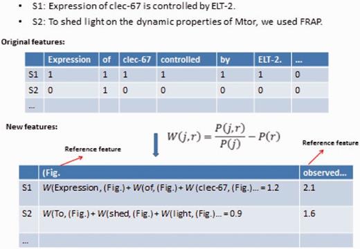 An example of RDE-based feature transformation for GO evidence sentence classification. S1 and S2 are two sentences. The example shows the part of original Boolean features, Reference features and new features generated by RDE semi-supervised learning.