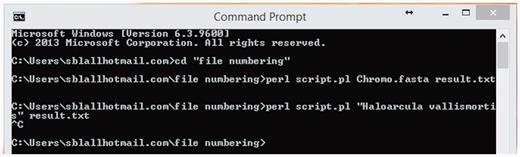 Snapshot of script run in Bioperl.