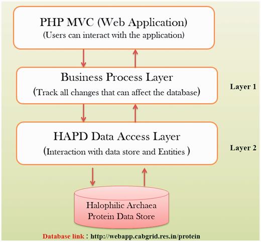 HProtDB architecture.