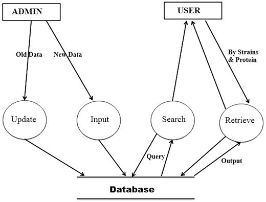 Data flow diagram.