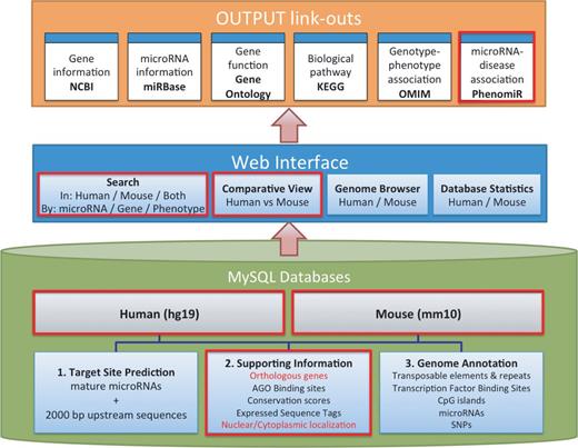 System overview of microPIR2. Three major components of the microPIR2 are demonstrated; MySQL databases, web interface and the output link-outs. The box surrounded by the red line indicates the new/improved features in comparison with microPIR.