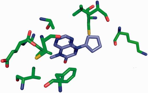 Binding site for the Plk-2 inhibitor (7R)-8-cyclopentyl-7-ethyl-5-methyl-7,8-dihydropteridin-6(5H)-one (3 letter code 11 G) in PDB entry 4i6b ( 31 ). The figure depicts the neighbouring residues that are within 3.7 Å of the ligand 11 G.
