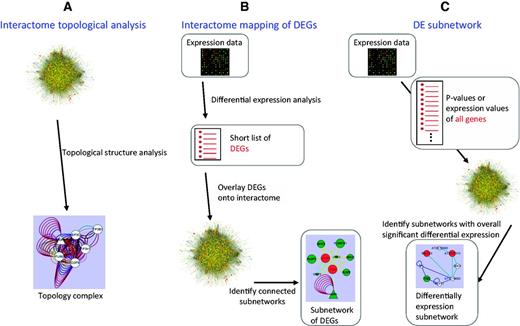 The methods used for identifying interactome modules in the AIM database.