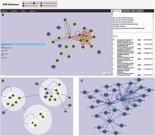 Viewer and network analysis tools. (A) Module (MT779) viewer with various interactive options including highlighting the proteins in the network with a significant term, filtering nodes or edges and modifying display parameters. (B) MT779 with power graph representation. (C) Predicted interologs for MT779 in rice.