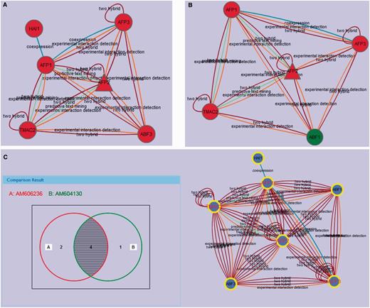 (A) The active module (AM606236) with up-regulated AFP2 in the ABA treatment condition. The interaction prediction methods used are annotated as identified in the properties tab. (B) The active module (AM604130) with up-regulated AFP2 in the drought condition. (C) AM606236 and AM604130 comparison with Venn. Protein nodes highlighted with yellow border are related with abscisic acid mediated signaling pathway (GO:0009738). The shared proteins in the three modules are highlighted with red labels.