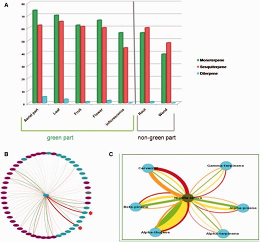 Biological analysis of EssOilDB data for insights into terpene diversity and variability. (A) Graphical overview of different type of terpenes (monoterpene, sesquiterpene and diterpene) and their source plant parts. Note that essential oils obtained from root and wood have higher number of unique sesquiterpenes as compared to monoterpenes whereas other plant parts have shown its reverse, reflecting differential activation of plastidial MEP pathway as discussed in the text. (B) Terpene emission patterns of Echinacea purpurea under normal and biotic (cucumber mosaic virus) stress. Nodes represent compounds and edges represents normal (green) or stressed (red) conditions. Pink nodes represent sesquiterpenes while green nodes represent monoterpenes. Edge width represents percentage emission and it is clearly visible that Myrcene and alpha-terpene emissions (red asterisks) increase under stress. (C) Terpene profile network of Nigella sativa under normal and drought stress. Green edges represent amount of irrigation over four days. Carvacrol emission increases under drought stress (thick red and orange edges).
