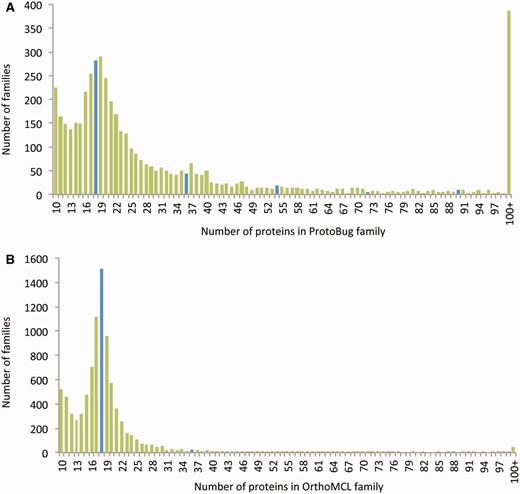 Size distribution of the protein families from Arthropods-complete proteomes. The families listed are based on all 18 complete proteomes. The protein families are ranked by their sizes according to ProtoBug clusters (A) and OrthoMCL (B) algorithms. The blue bars shows the families of size 18 and the multiplications (i.e. 36, 54, etc.). Note a clear difference in cluster size distribution between the two clustering modes. Specifically, there are ∼400 families with more than 100 proteins among the ProtoBug family collection.