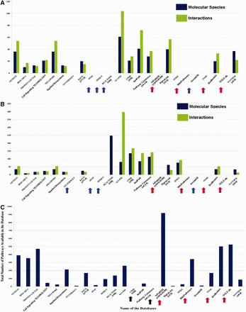 Pathway data heterogeneity across different databases. ( A ) and ( B ) show the comparison of the number of molecular species and interactions of Hedgehog and Notch signaling pathway across different databases, respectively. The names of the databases are presented along the X -axis with their corresponding version number (if available), mentioned in first parenthesis. Pathway statistics presented in these graphs ( Y -axis) are taken from those corresponding database versions, i.e. on or before 21 July 2014. The blue arrows indicating the names of the pathway databases signify that these databases do not possess Hedgehog or Notch pathway information. Moreover, the databases indicated by red arrows show the databases that do not possess their own curated Hedgehog or Notch pathway data. These types of databases (e.g. WikiPathways, hiPathDB and GOLD.db) are mostly dependent on the curated data of other databases and therefore the data from these databases are not included in the comparisons. Although these databases possess the same data, which is available in other databases, but the importance of such databases are found in other aspects of pathway data analysis. ( C ) The total number of signaling pathways of each database is plotted and compared. Here, the black arrows indicate the names of the databases whose total number of available signaling pathway data could not be counted. It shows hiPathDB has highest number of available pathway data present in its database, though the data it contains are all gathered from KEGG, REACTOME and NCI-PID.