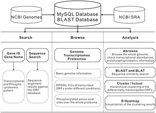 The CyanOmics scheme illustrating the datasets and analysis methodologies integrated in the database.
