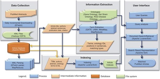OntoMate system architecture. The basic system consists of data collection, article database, information extraction and information retrieval (indexing and user interface). User interface can be adapted for different applications.