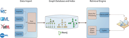 Architecture of our graph database. Data from different models, simulation descriptions or ontologies are imported using format-dependent importers. Each import undergoes a post processing afterwards. The stored graph and index structures are available via two retrieval interfaces: Cypher and an adaption of Henkel et al. ( 10 ). Both are based on RestAPIs. The data itself are stored in a Neo4J graph database.