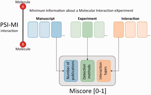 The MIscore normalized score calculates a composite score for an interaction based on the number of publications reporting the interaction, the reported interaction detection methods and interaction types.