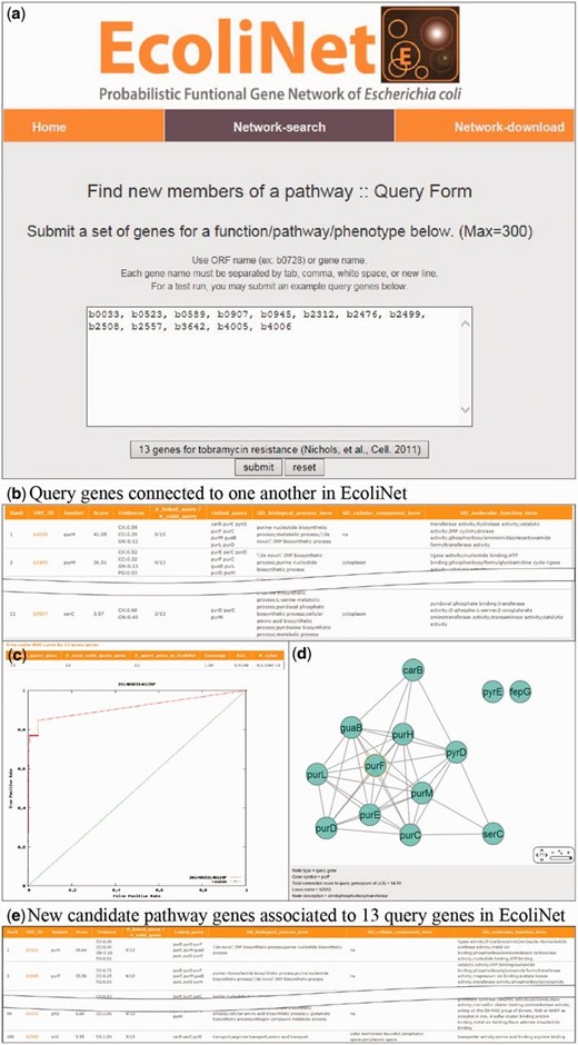 EcoliNet search results by ‘Find new members of a pathway’ option with 13 query genes for tobramycin resistance. ( a ) ‘Find new members of a pathway’ submission page generally takes multiple query genes with ORF name or gene name. ( b ) All connected query genes (11 out of 13 query genes) in EcoliNet are listed in a table. ( c ) ROC curve analysis results in a high AUC score (0.915), which indicates that known tobramycin resistance genes can be highly predictable by connections among them in EcoliNet. ( d ) A network of query genes is visualized by Cytoscape Web installed in EcoliNet web server. ( e ) New candidate genes for tobramycin resistance are prioritized by sum of edge weight scores (log likelihood score) to all query genes and top 100 candidate genes are listed in a table with various information such as data types supporting association with the query genes.