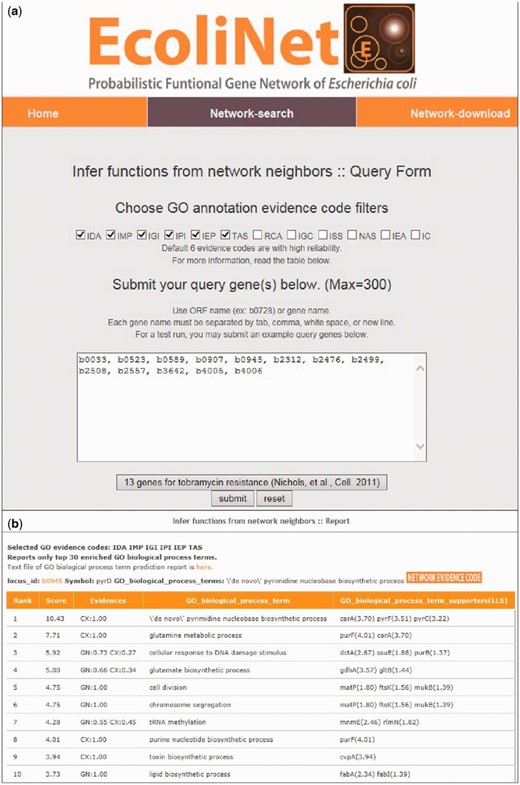  EcoliNet search results by ‘Infer functions from network neighbors’ option for tobramycin resistance genes. ( a ) ‘Infer fucntions from network neighbors’ option may take multiple query genes. GO-BP terms for prediction can be filtered for various GO evidences and default setting used the following six types of reliable evidences: inferred from direct assay (IDA), inferred from mutant phenotype (IMP), inferred from genetic interaction (IGI), inferred from physical interaction (IPI), inferred from expression pattern (IEP), traceable author statement (TAS). ( b ) Top 10 inferred GO-BP terms for ‘b0945’, a genes for tobramycin resistance. 