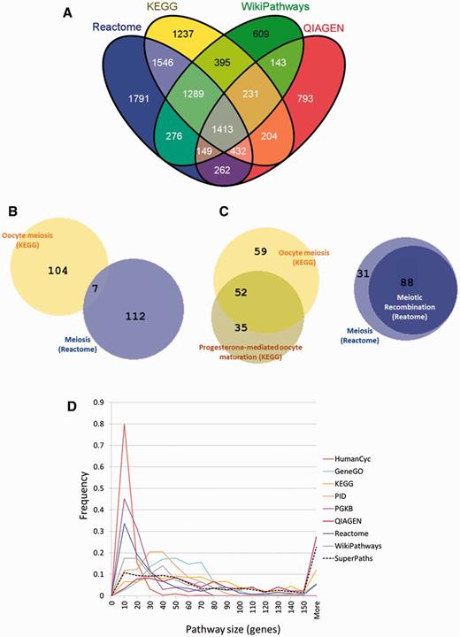 Discrepancies between pathway sources. (A) Incomplete gene overlap among sources. Venn diagram (created using VENNY http://bioinfogp.cnb.csic.es/tools/venny/) showing the number of shared genes among the four largest pathway sources. For a total of 10 770 genes, only 1413 (13%) are shared by all four sources and 609–1791 genes are unique to each of these sources. (B) Inconsistency of names versus content in meiosis-related pathways. A Venn diagram created using BioVenn (29), exemplifies two pathways, ‘Meiosis’ from Reactome and ‘Oocyte meiosis’ from KEGG with very small gene sharing (7 genes out of 172, J = 0.04). (C) Redundancy in meiosis-related pathways. This is exemplified by the large number of genes (88 of 119, J = 0.74) shared by ‘Meiosis’ and ‘Meiotic recombination’ pathways both from Reactome, and by the large number of genes (52 of 146, J = 0.36) shared by ‘Oocyte meiosis’ and ‘Progesterone-mediated oocyte maturation’ both from KEGG. (D) Pathway size distribution across sources. The pathway size in gene count, is distributed differently across the different sources.