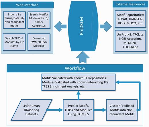 Overview of the PreDREM database.