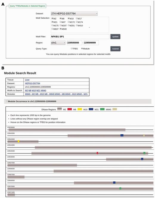 (A) The input page for searching modules with the keyword ‘NFKB1 SP1’ in the dataset HEPG2-DS7764 and in the region of ‘chr1:229500000–229599999’. The motif selection panel shows adjusted motifs discovered in HEPG2-DS7764 filtered by keyword ‘NFKB1 SP1’. One motif related to NFKB1 (M950) and four motifs related to SP1 (M2, M8, M10 and M21) are selected. (B) The result page of the searching in A. For the selected motifs, six motif modules composed of them are found and listed in the ‘Modules’ section. TFBSs of these motifs in DHSs are visualized in the ‘Module Occurrence’ section.