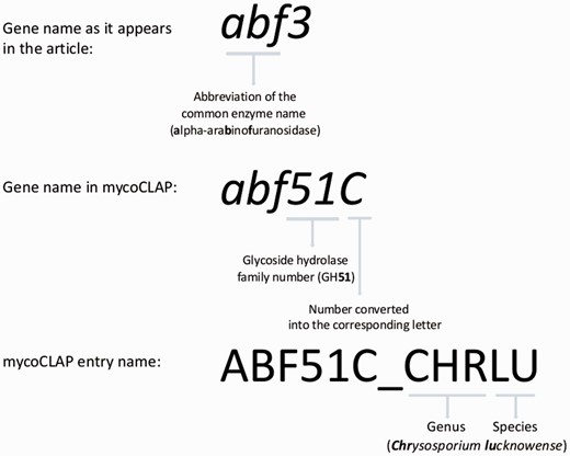 The mycoCLAP entry names.
