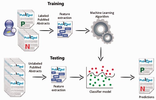 The mycoSORT system workflow.